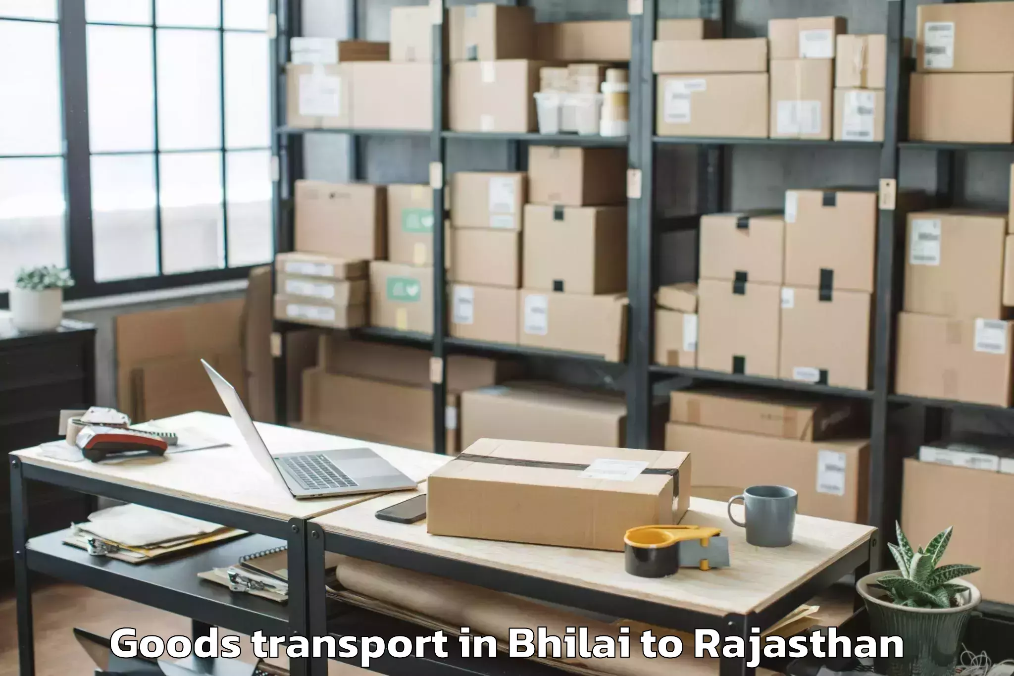 Efficient Bhilai to Bari Dholpur Goods Transport